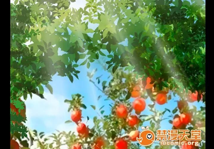 虛榮與謊言 48 第31页