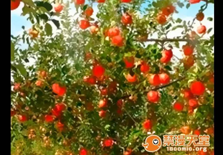 虛榮與謊言 48 第32页