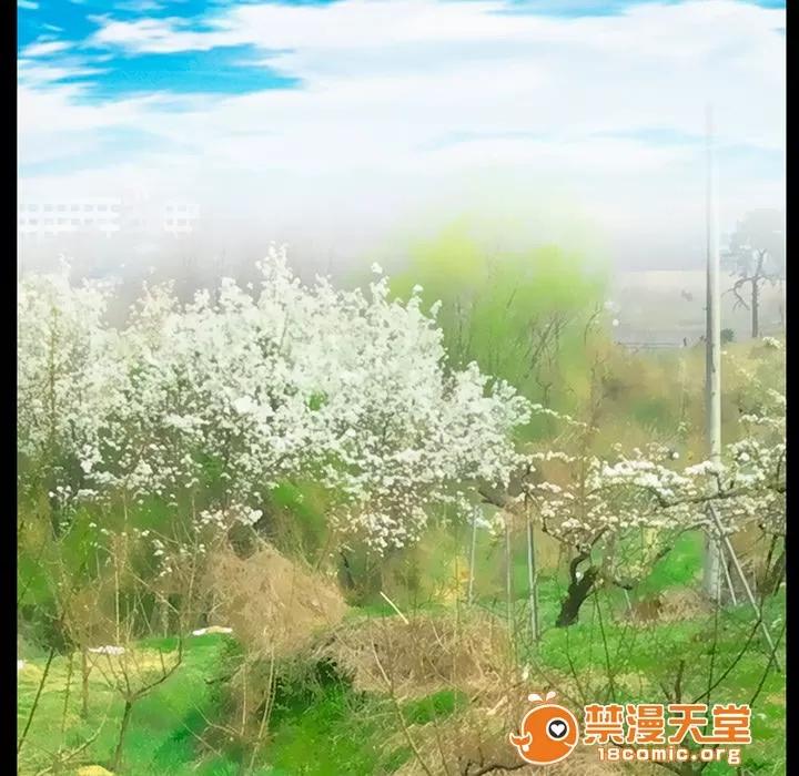 虛榮與謊言 49 第47页