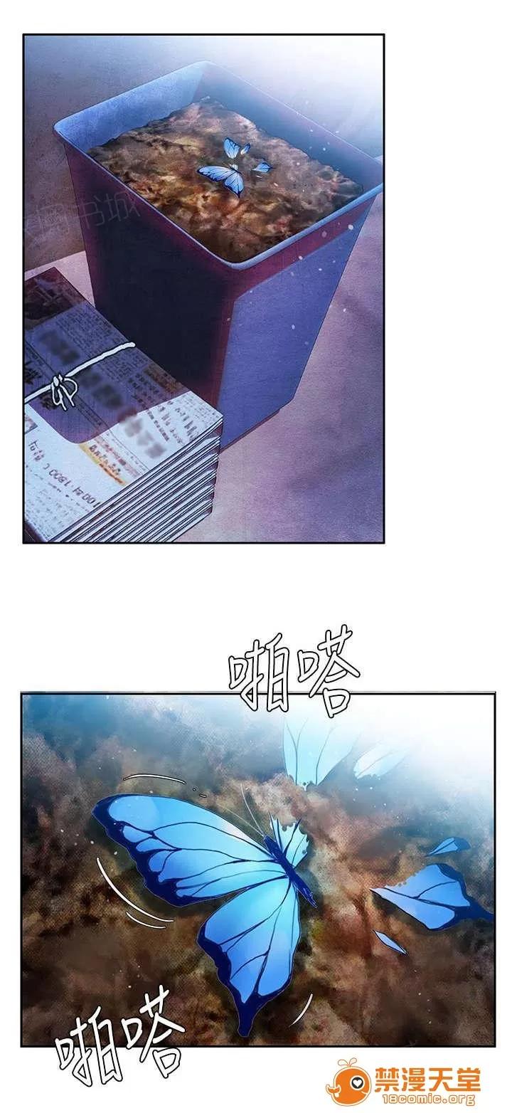 冒充 7 第3页