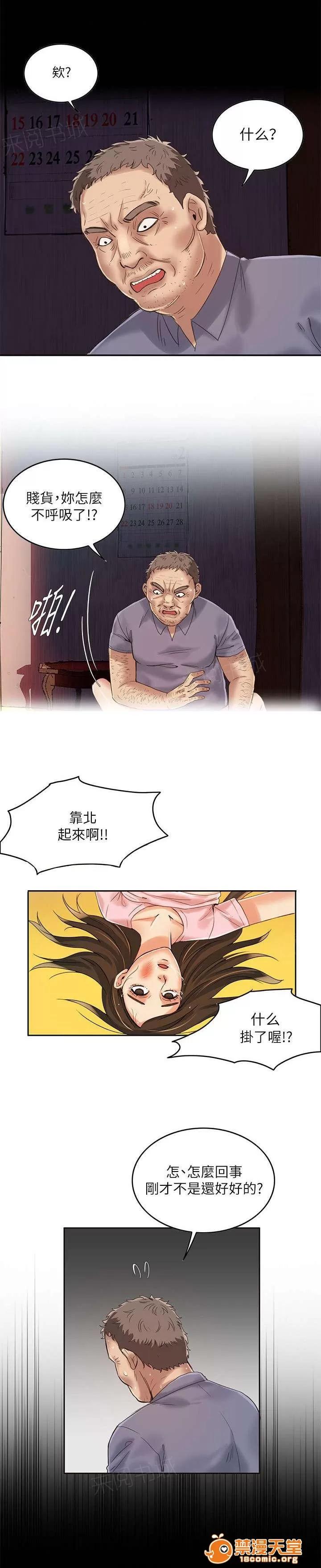 冒充 9 第8页