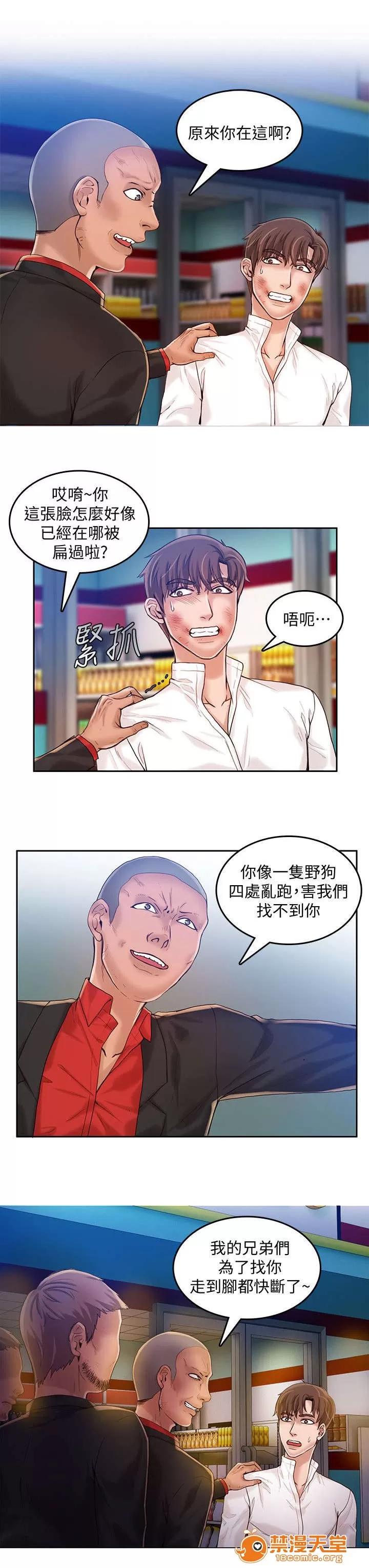冒充 27 第11页