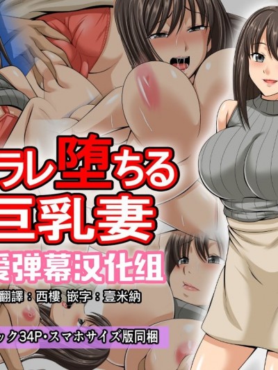 ネトラレ墮ちる妻