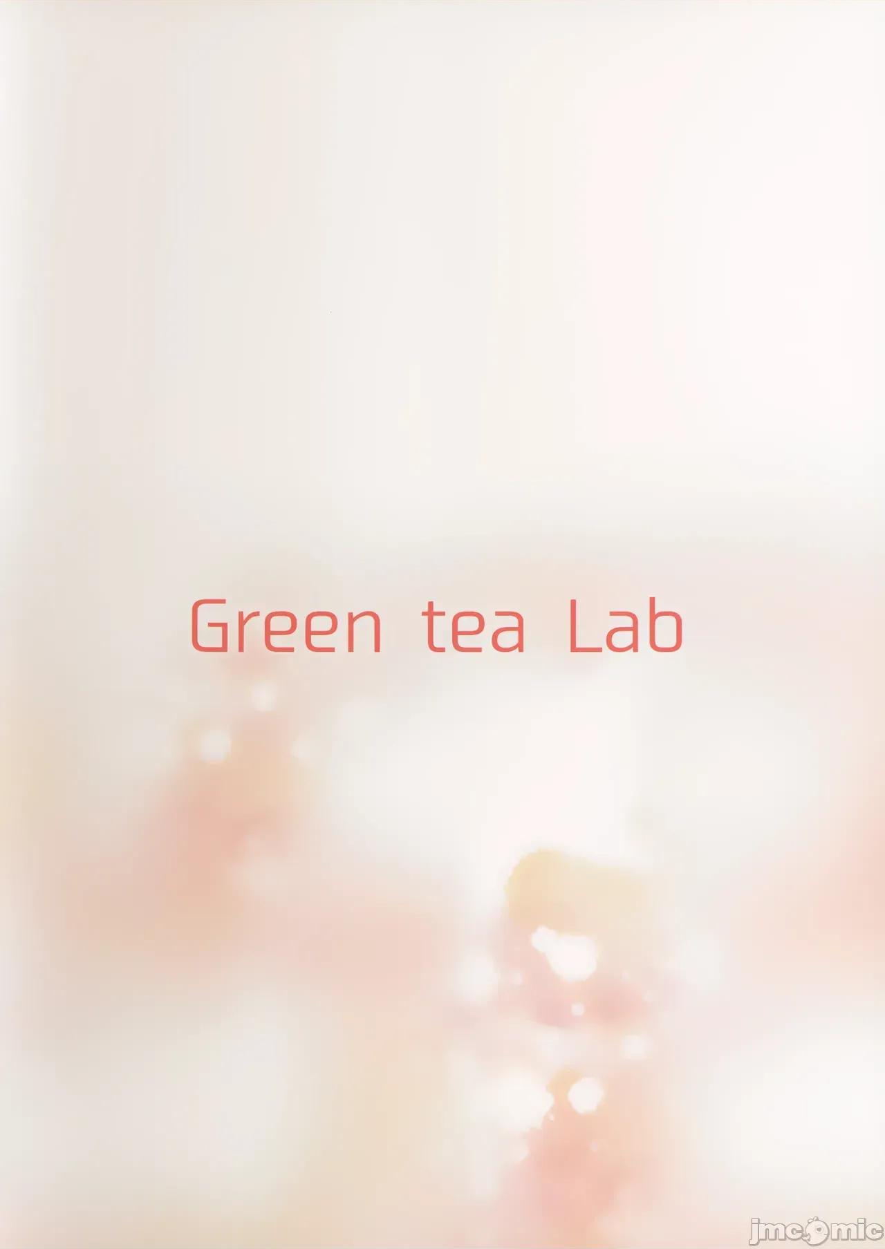 博麗神社的巫女小姐 博麗神社的色情巫女小姐 [Green tea Lab (midarin)] 博麗神社のえっちな巫女さん 第27页