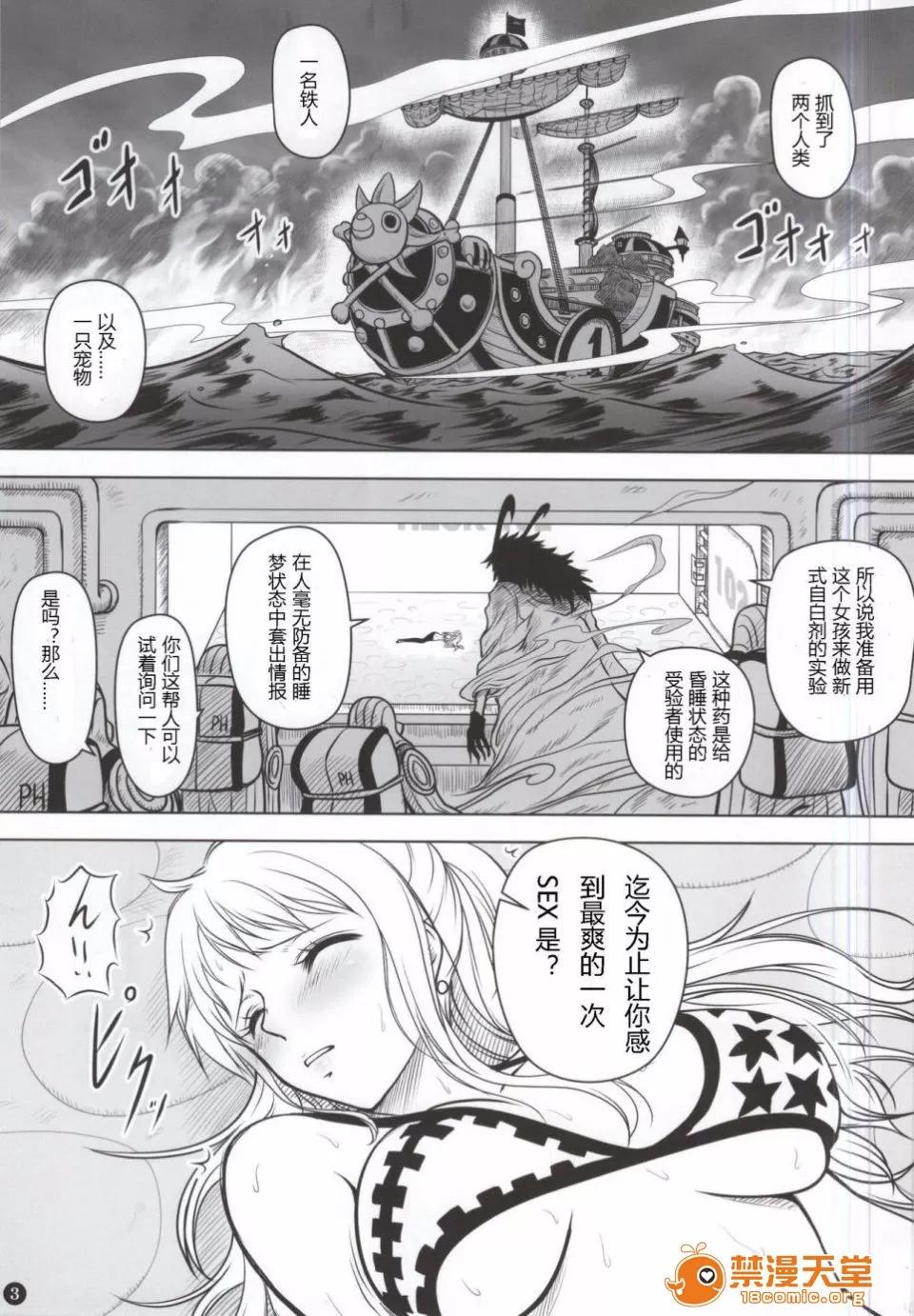 ナミカン [三毛貓堂 (武天)] ナミカン (ワンピース) 第3页