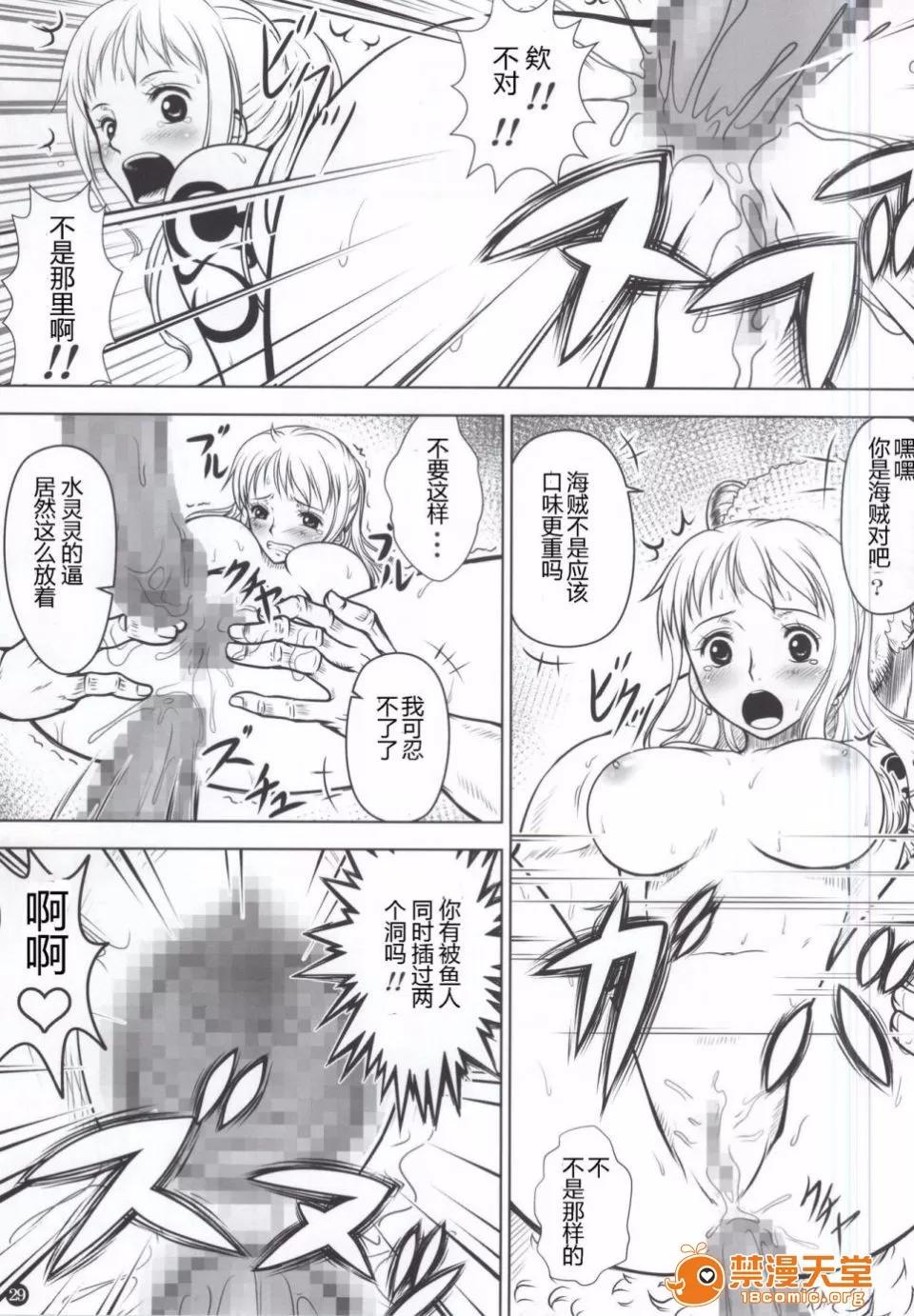 ナミカン [三毛貓堂 (武天)] ナミカン (ワンピース) 第29页