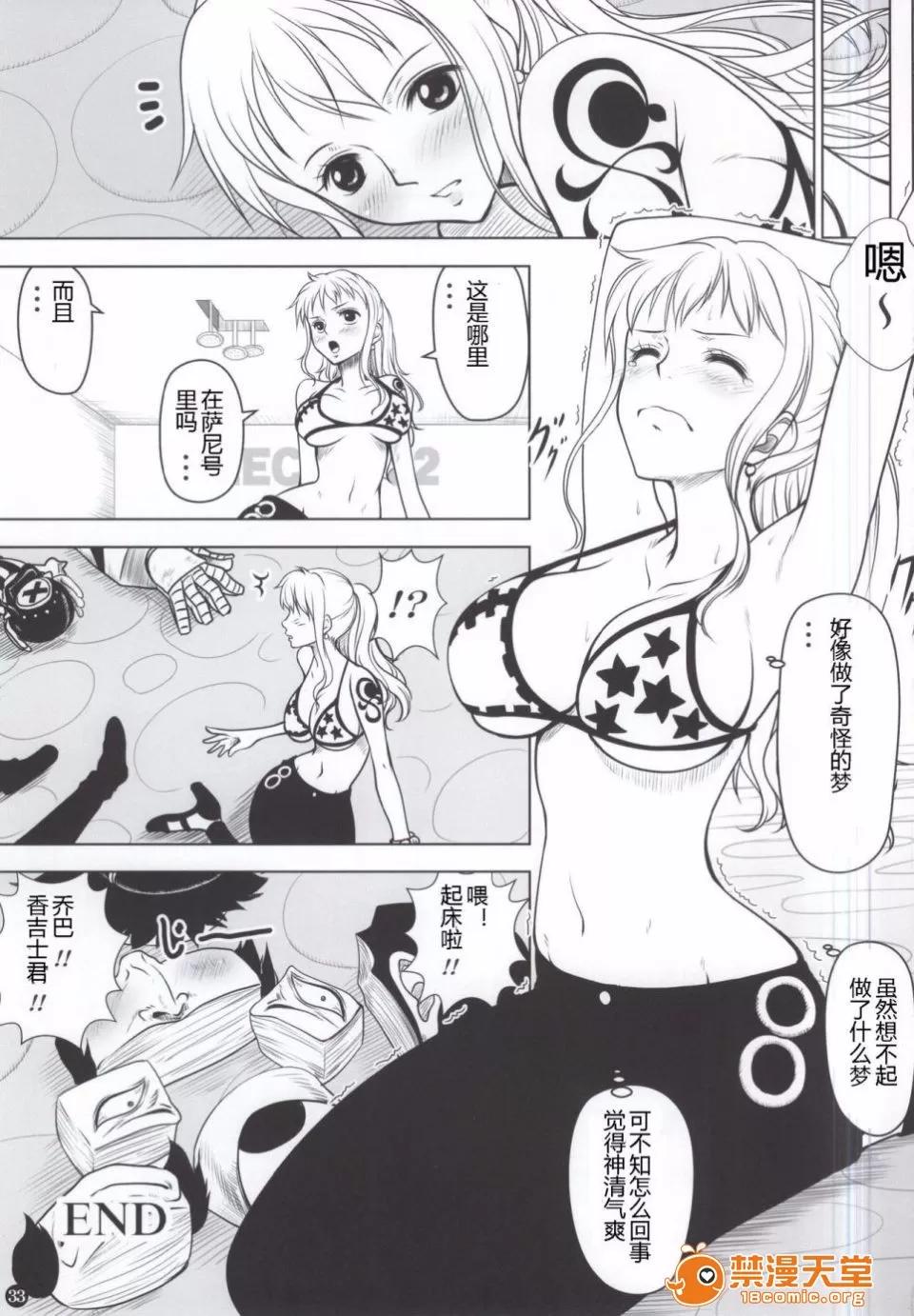 ナミカン [三毛貓堂 (武天)] ナミカン (ワンピース) 第33页