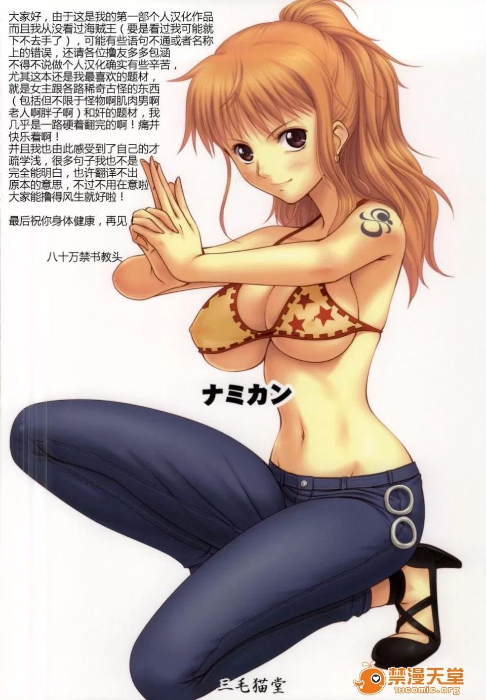 ナミカン [三毛貓堂 (武天)] ナミカン (ワンピース) 第34页