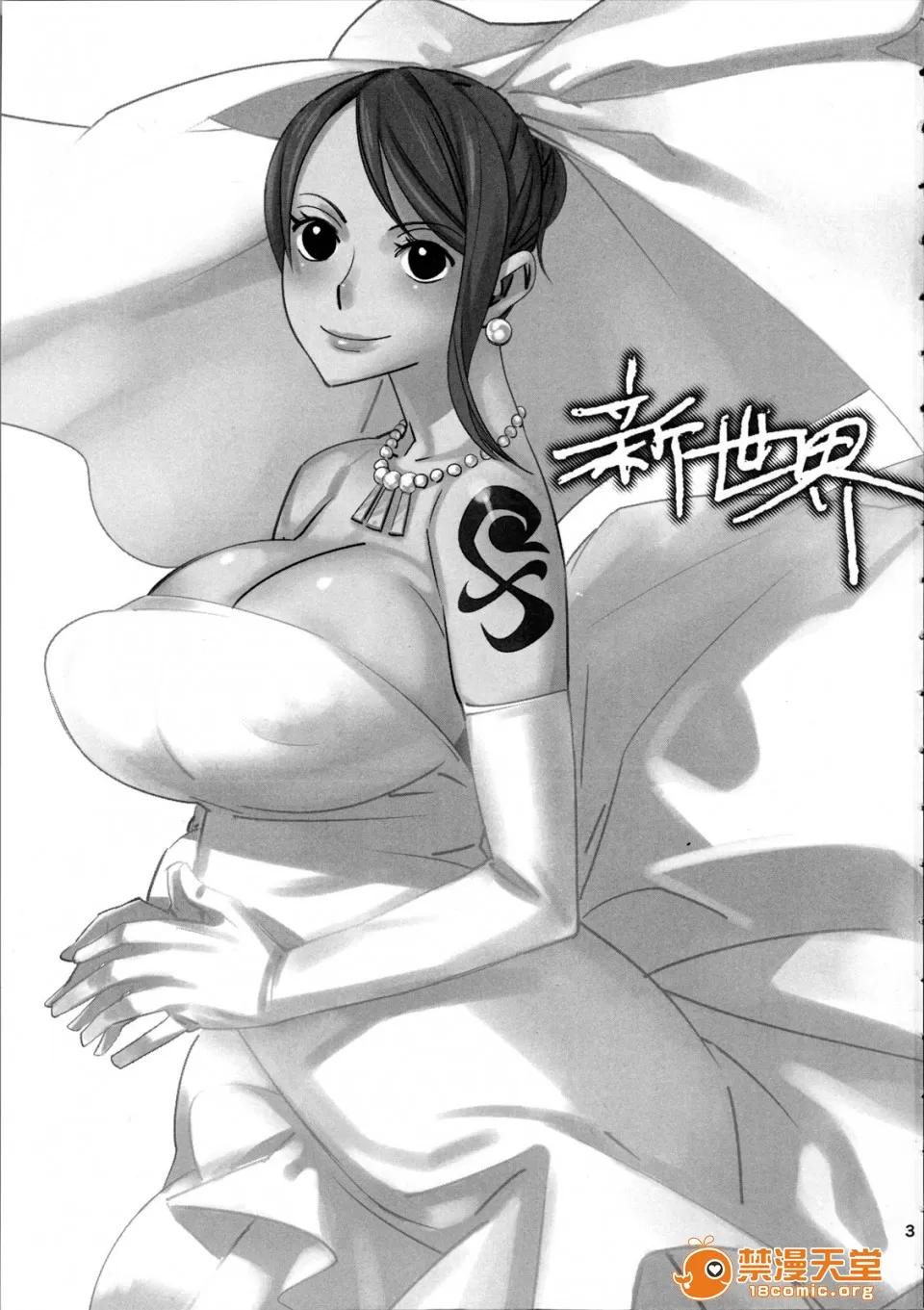 新世界 (C73) [油照紙 (ボボボ)] 新世界 (ワンピース) 第3页