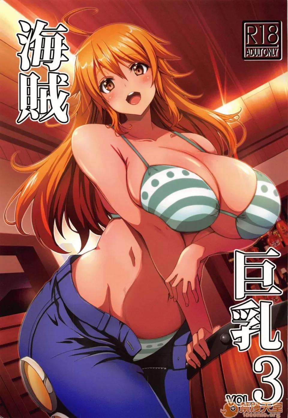 海賊3 [BRAVE HEART petit (KOJIROU!)] 海賊巨乳3 (ワンピース) 第1页