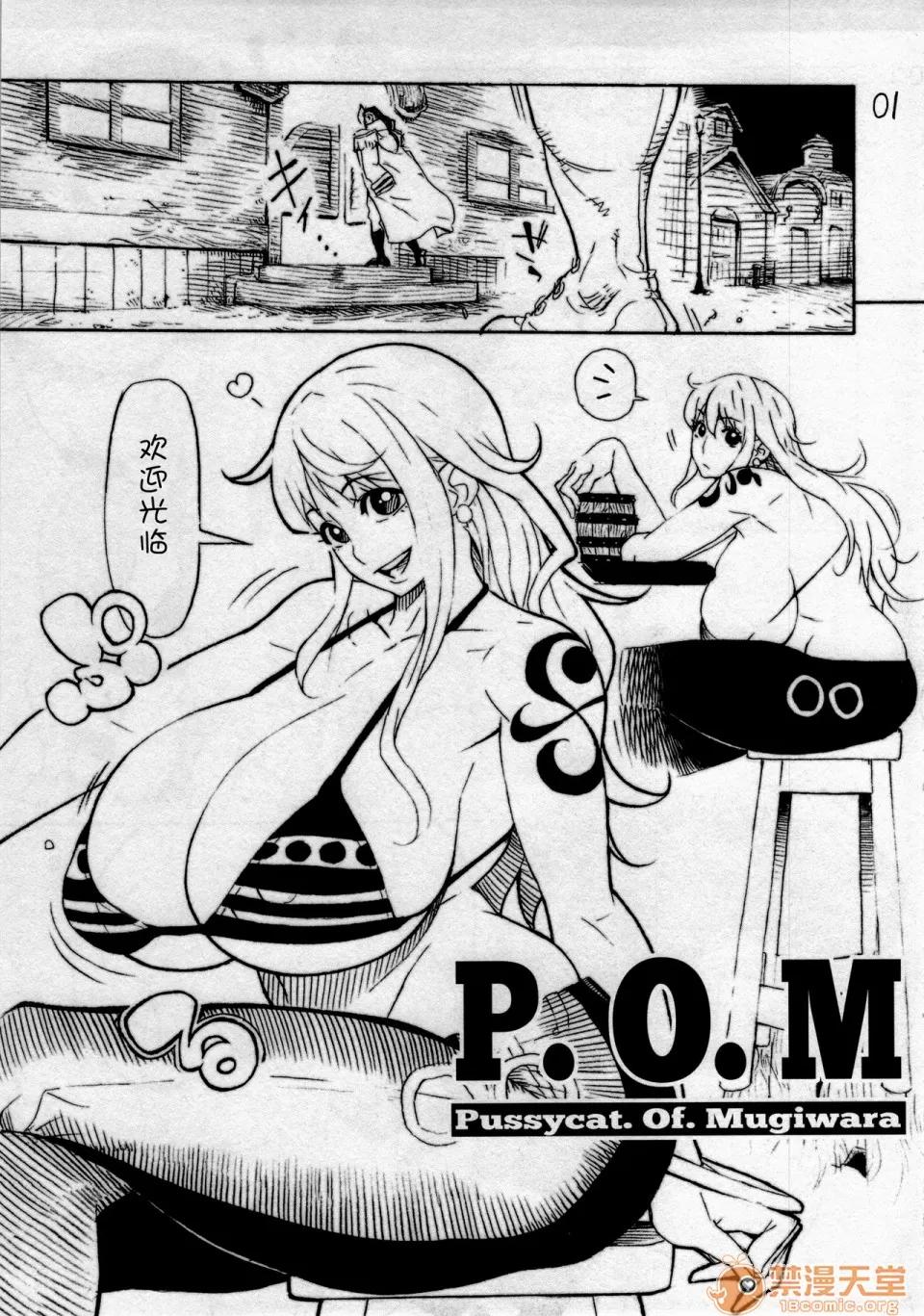 P.O.M [不咕鳥漢化組](C85) [こちょこちょ高校 (梵典)] P.O.M (ワンピース) [中國翻譯] 第2页