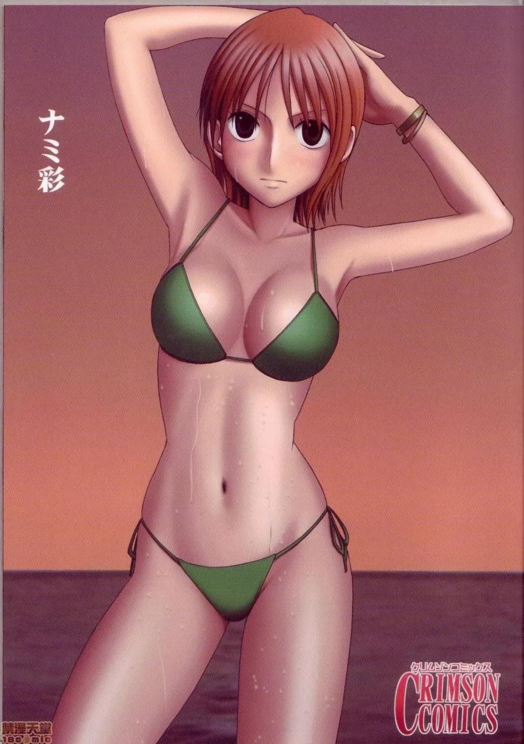 ナミ彩 [下北澤幕府] [クリムゾン (カーマイン)] ナミ彩 (ワンピース) 第1页