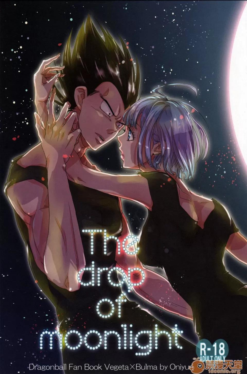 The [EN](C82) [働きません。。 (オニユリ)] The drop of moonlight (ドラゴンボールZ) [英譯] 第1页